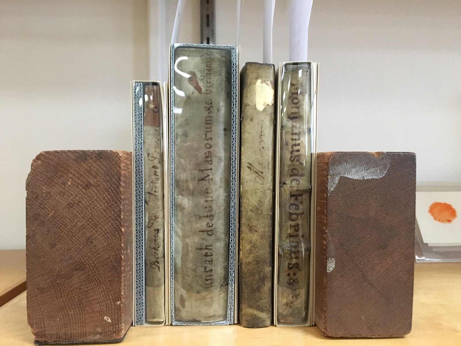 Parchment bindings in clear spine wrapper