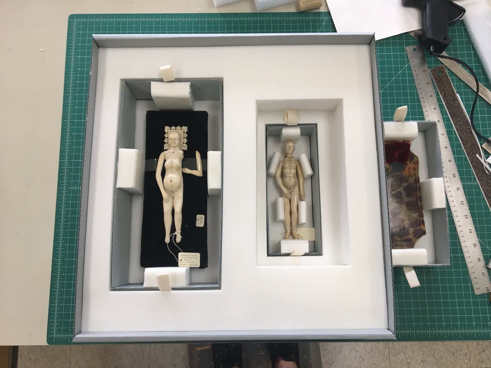 Rehoused anatomical manikins
